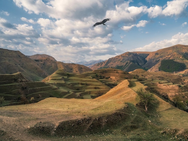 Mountain terrain. high green hills complex mountain landscape,\
green terraces covered with sparse vegetation slopes.\
dagestan.