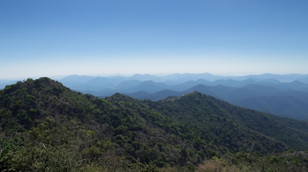 사진 산의 꼭대기, 산의 전망, 산 꼭대기 숲, ai 생성