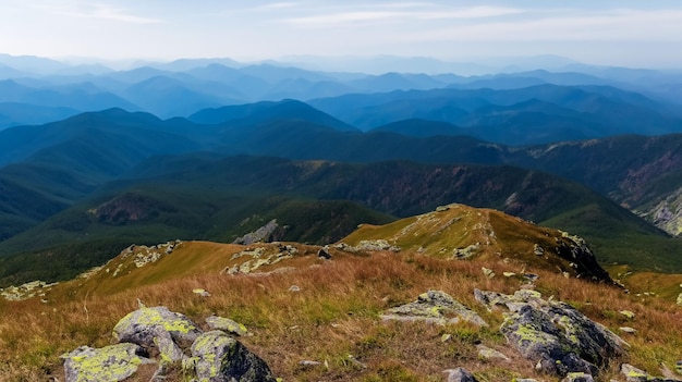 사진 산의 꼭대기, 산의 전망, 산 꼭대기 숲, ai 생성