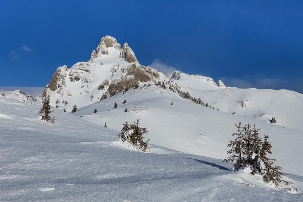 Mountain top