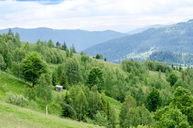 写真 夏のカルパティア山脈の山頂