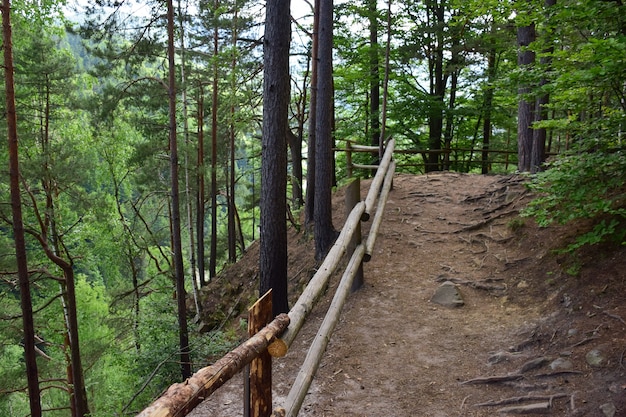 Mountain trail over a cliff overgrown with trees. On the left, a railing is made of logs. The trail is empty and rocky, photographed in summer