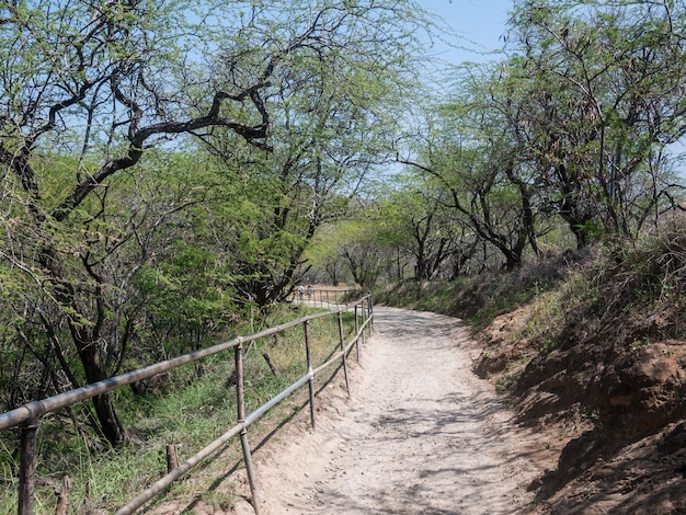 Mountain trail for hiking