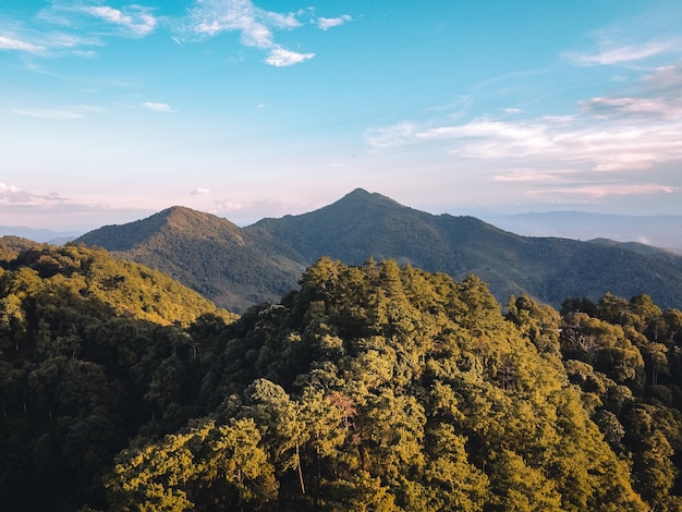 Mountain and tree in summer Nature travel