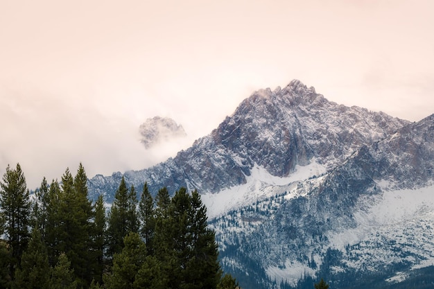 Mountain and Trees Photo