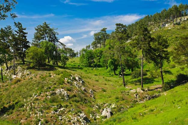 Paesaggio estivo turco di montagna con rocce e colline verdi