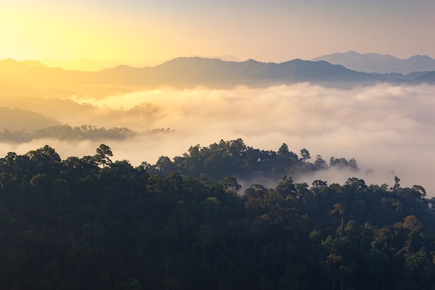 mountain valley during bright sunrise.Mist on the mountain