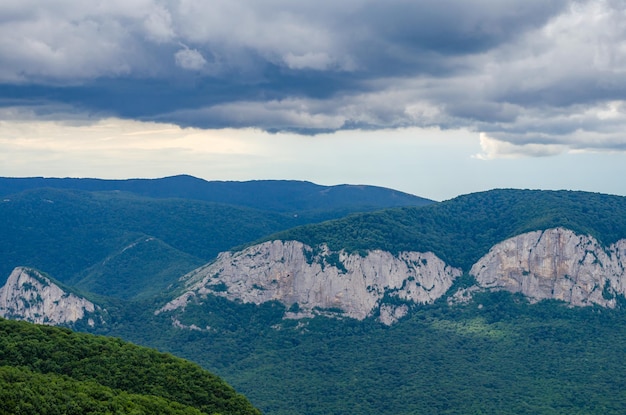 A mountain valley covered with forest