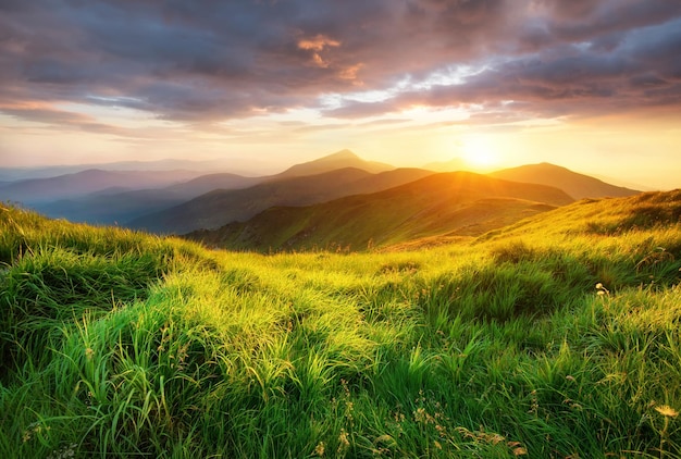 Photo mountain valley during sunrise beutiful natural landsscape in the summer time