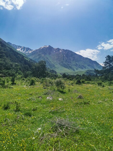 A mountain valley in the gorge of the CherekBalkar river in the vicinity of the Ushtulu tract Caucasus 2021