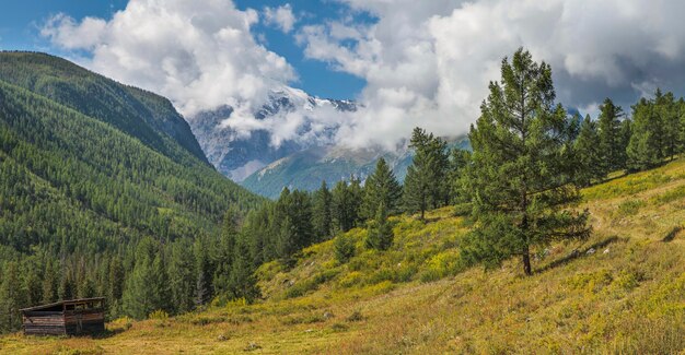 Valle di montagna, foreste verdi, giornata estiva soleggiata, cielo azzurro con nuvole