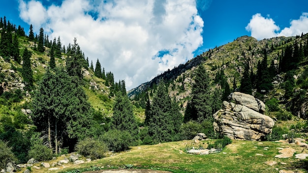 Foto panorama della valle della montagna in estate.