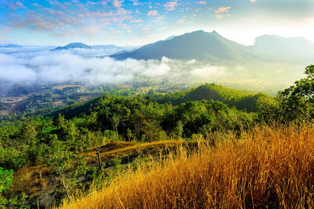 Mountain valley during sunrise Natural summer landscape