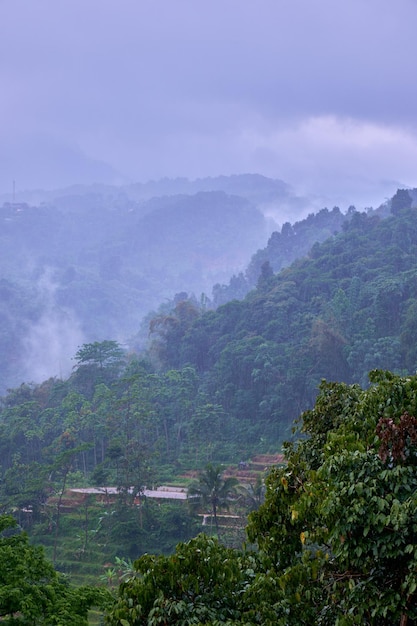 霧と雲の山の谷の景色、ボゴール、インドネシア