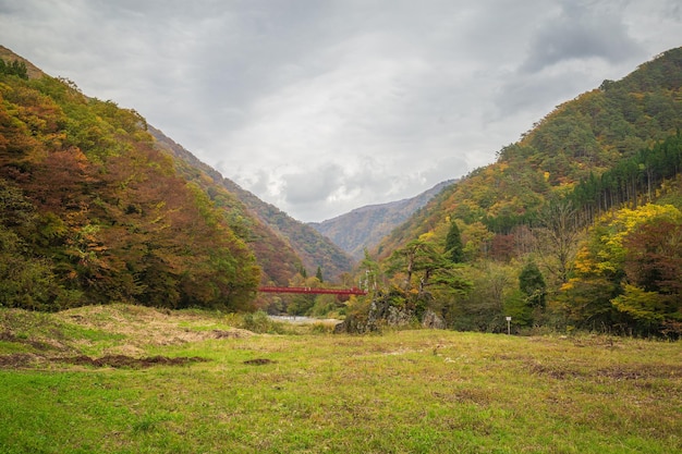 A mountain valley with a bridge in the distance