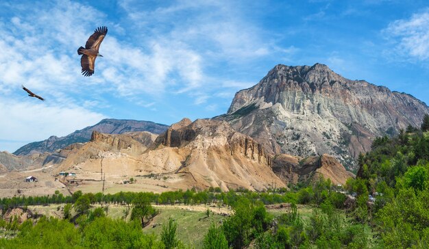 鷲がそびえる山の谷。青い空を背景に緑の谷の上の高い山々。ダゲスタン。全景。