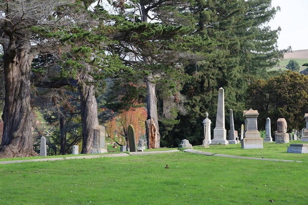 Фото Кладбище с видом на гору в окленде, калифорния