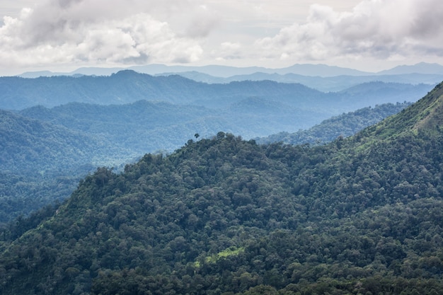 mountain view and cloudy of fog with sky background.