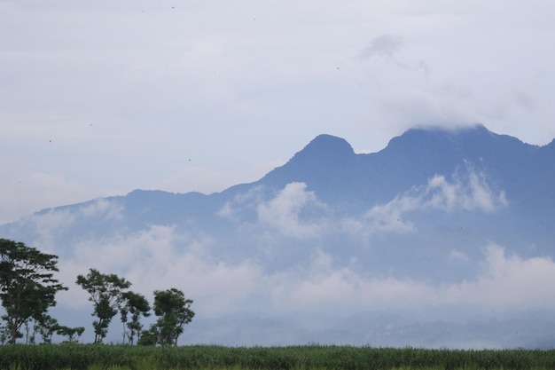 Photo mountain view covered by clouds