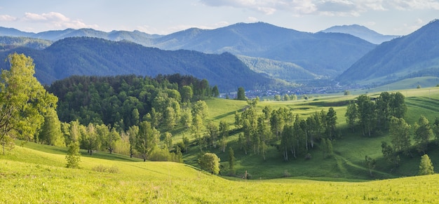 Mountain view, greenery of forests and meadows