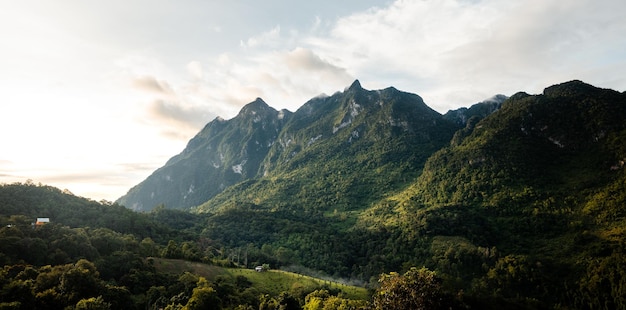 朝の山の景色