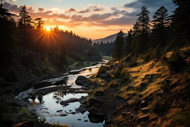 Mountain view Sunset and forest landscape