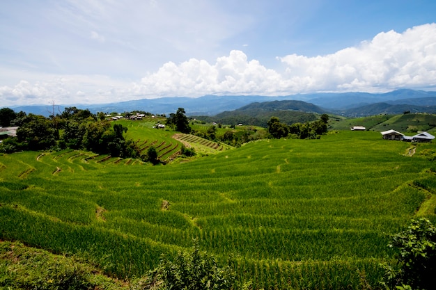 Foto vista sulle montagne sulla cima della montagna a ban pa pong piengin thailand