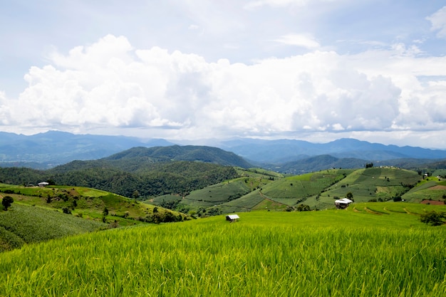 Vista sulle montagne sulla cima della montagna a ban pa pong piengin thailand