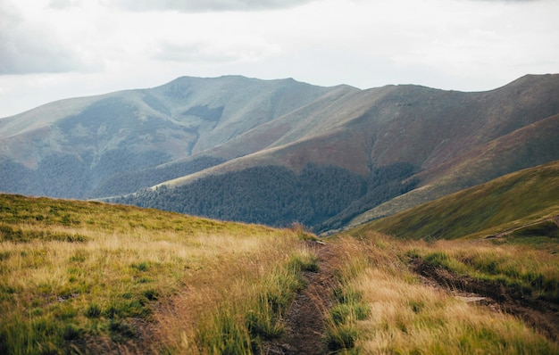 Mountain view with scenic view