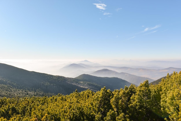 여름 풍경 West Tatras Slovakia의 안개 속에 산의 실루엣이 있는 마운틴 뷰