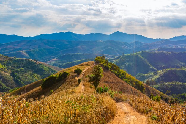 Mountain  views in the area of ​​Nan Province, Thailand 