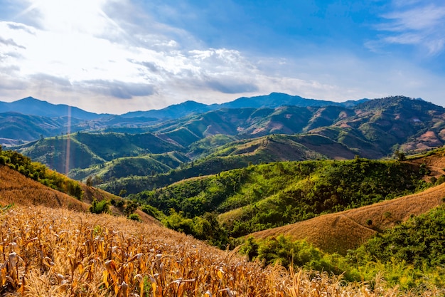 Mountain  views in the area of ​​Nan Province, Thailand 