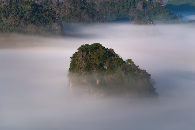 Вид на горы и красивый туман Фу Лангка, Таиланд
