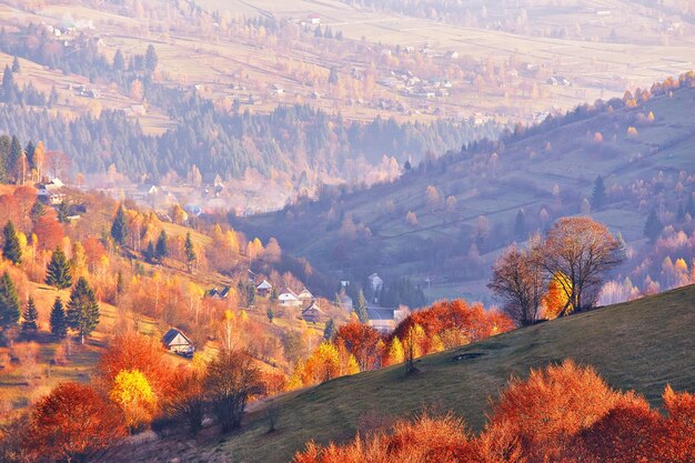 写真 山村の秋の田舎風景 黄色とオレンジの木 晴れた秋の夕方 美しい夕暮れの丘の風景 斜面 草原 畑 村の家 泥道 カルパチア山脈