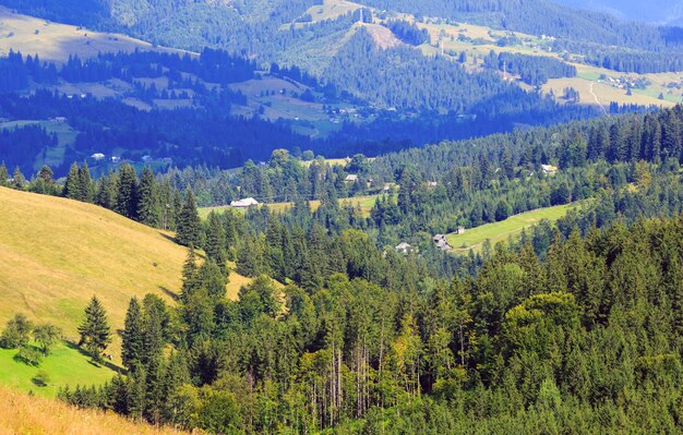 山の村。斜面にモミの森がある夏の田舎の風景（カルパティア、ウクライナ、ヴェルホヴィナ地区、イヴァノフランキフスク地域）。