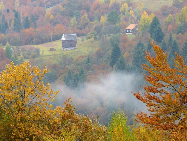 Mountain village with wooden houses. autumn landscape with deciduous forest on the slopes. carpathians, ukraine, europe