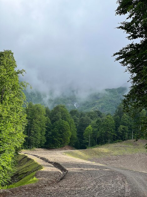 Photo mountain walk on a sunny summer day