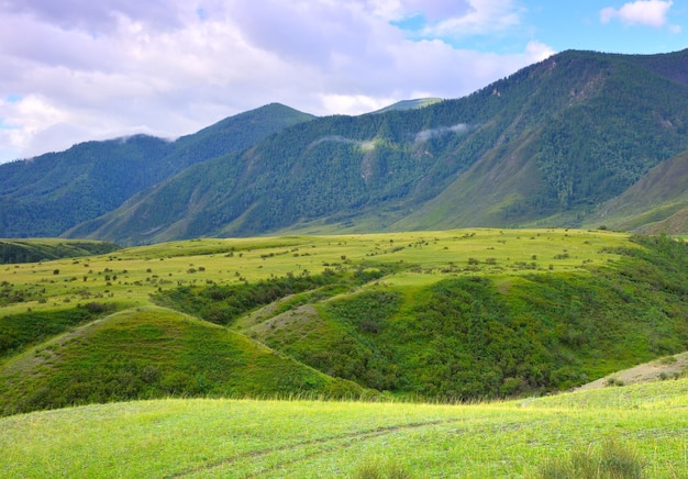 青い曇り空の下の山の野生の風景シベリアロシア