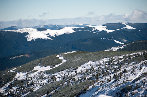 Mountain winter coniferous forest