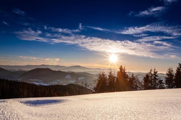 冬の風景の雪に覆われた山の冬の風景トウヒの木の森