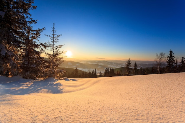 冬の風景の雪に覆われた山の冬の風景トウヒの木の森