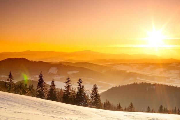 Mountain Winter Landscape Spruce Tree Forest Covered by Snow in Winter Landscape