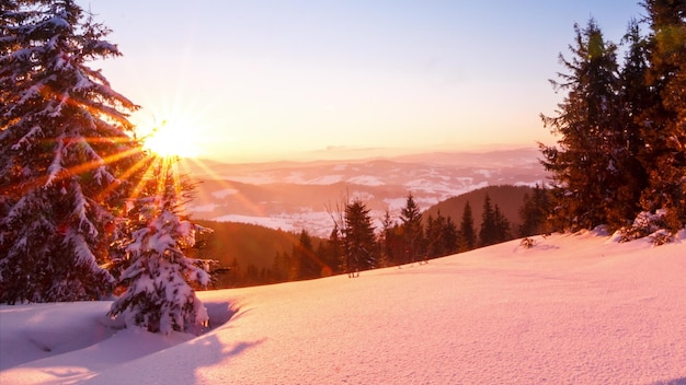 Mountain Winter Landscape