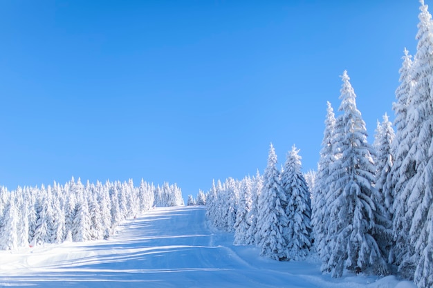 Mountain at winter