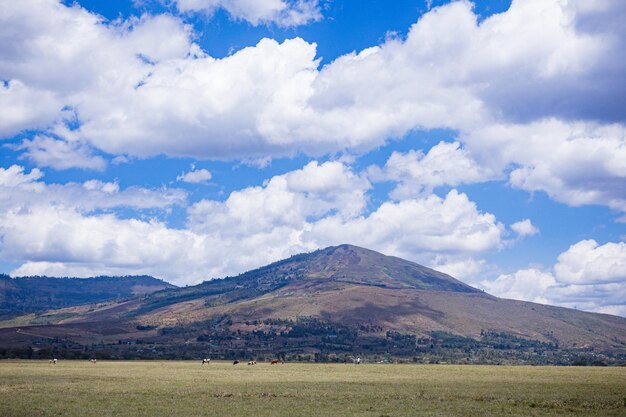 背景に青い空と雲がある山