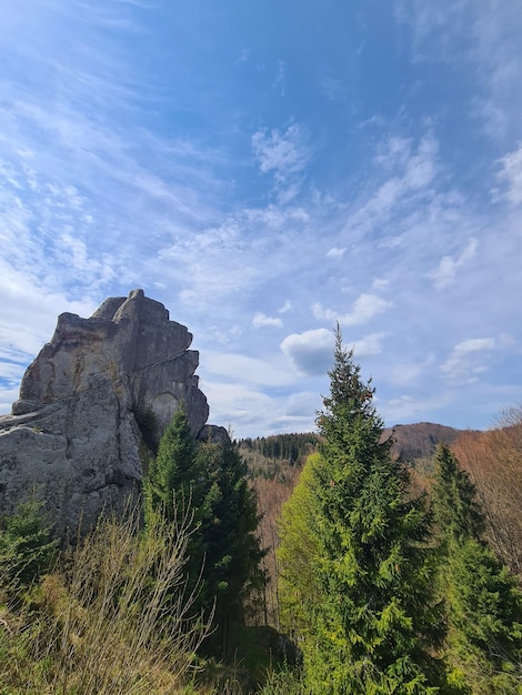 A mountain with a blue sky and trees