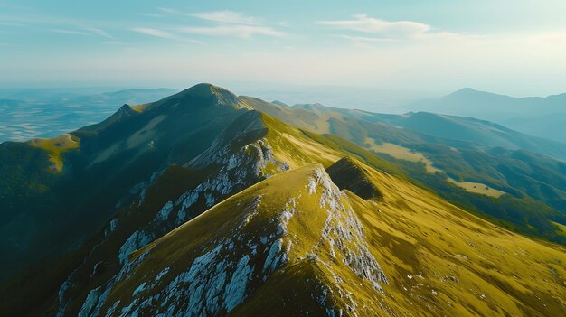 背景に緑の草で覆われた山