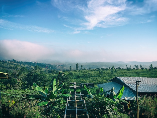 Photo mountain with green grass