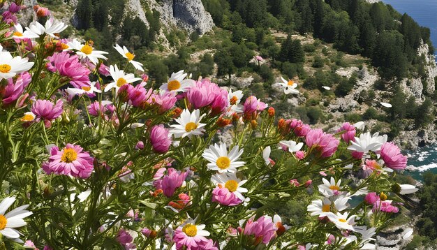 a mountain with a mountain in the background and flowers in the foreground