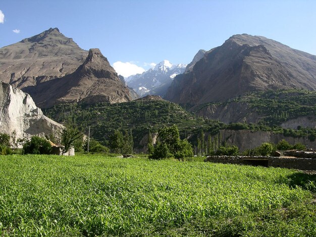 Photo a mountain with a mountain in the background